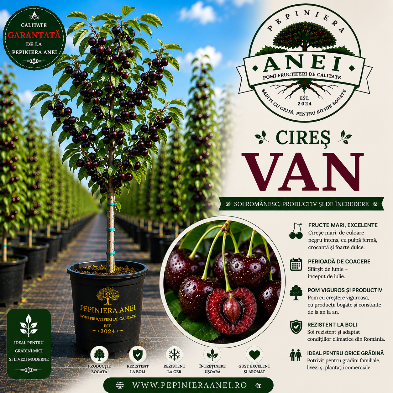 Cires Van