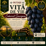 Butași Viță de Vie – Cabernet Sauvignon