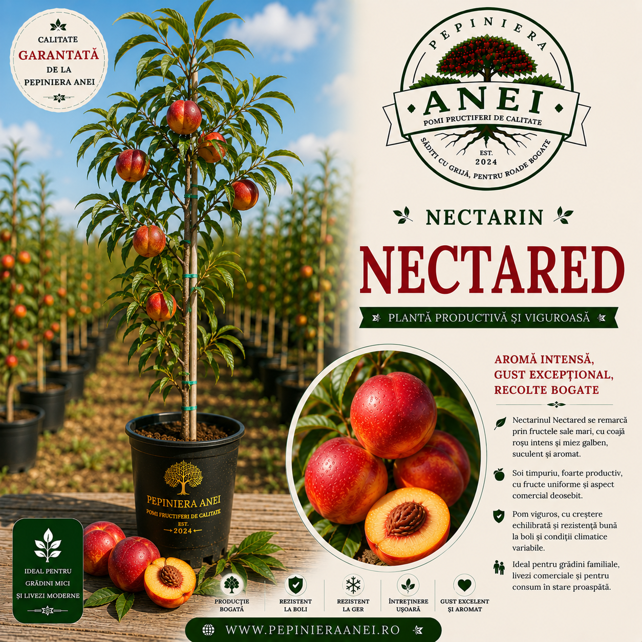 Nectarin – Nectared