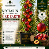 Nectarin Columnar – Fire Earth