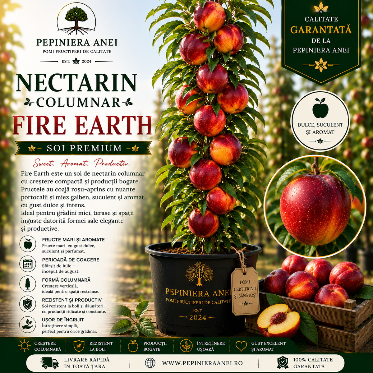 Nectarin Columnar – Fire Earth