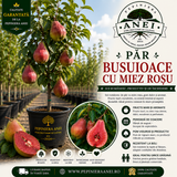 Par Busuioace cu miez rosu
