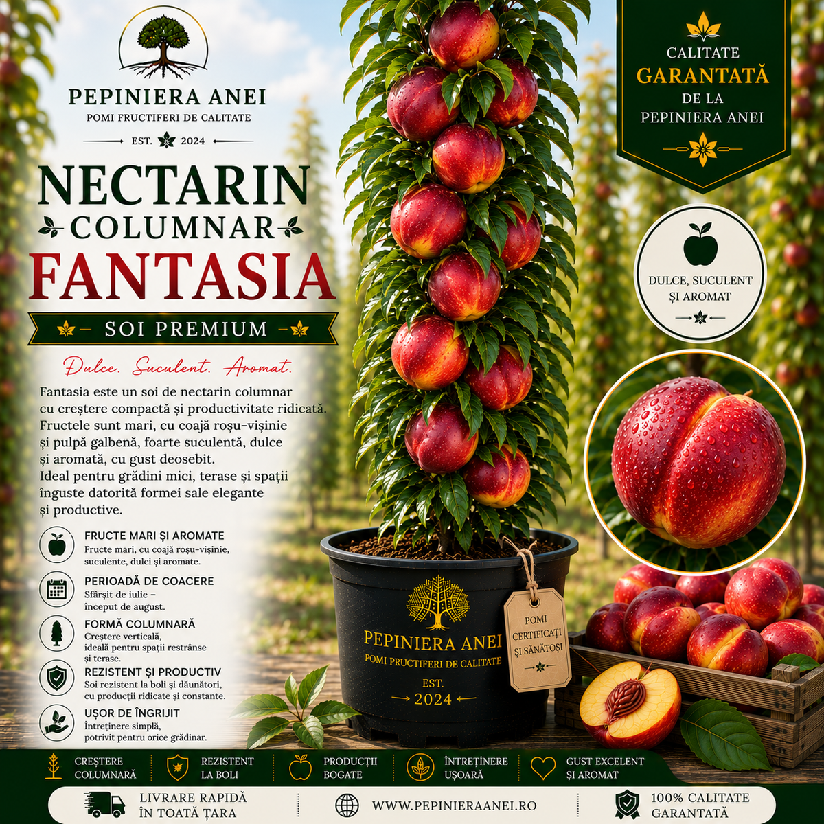 Nectarin Columnar – Fantasia