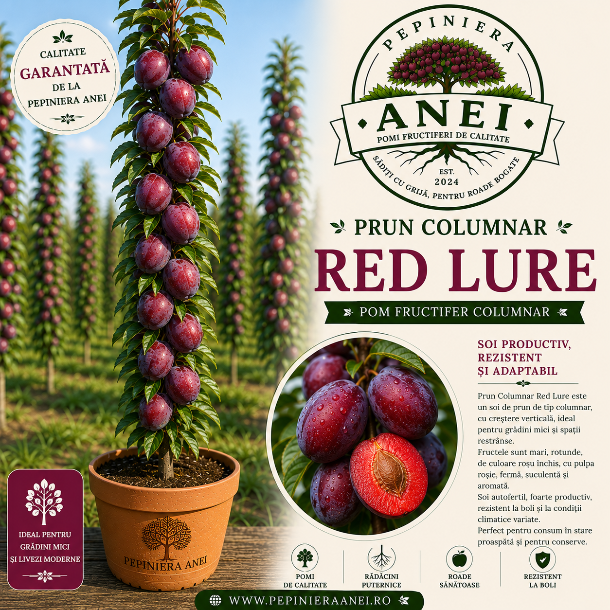 Prun Columnar Red Lure