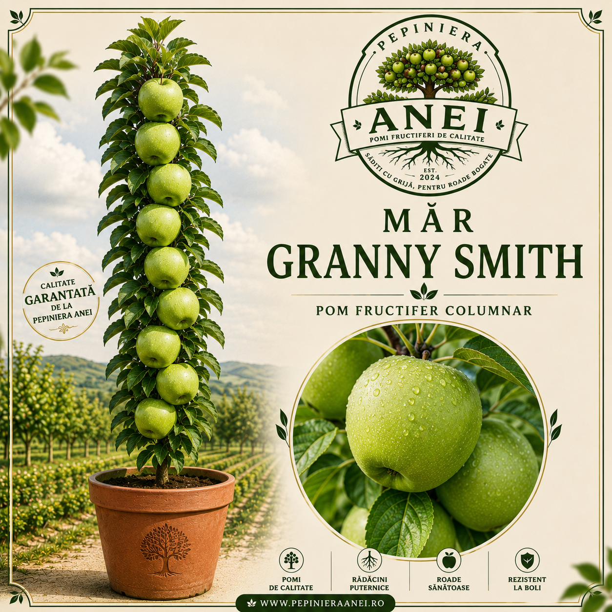 Mar Granny Smith