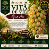 Butași Viță de Vie – Afuz Ali