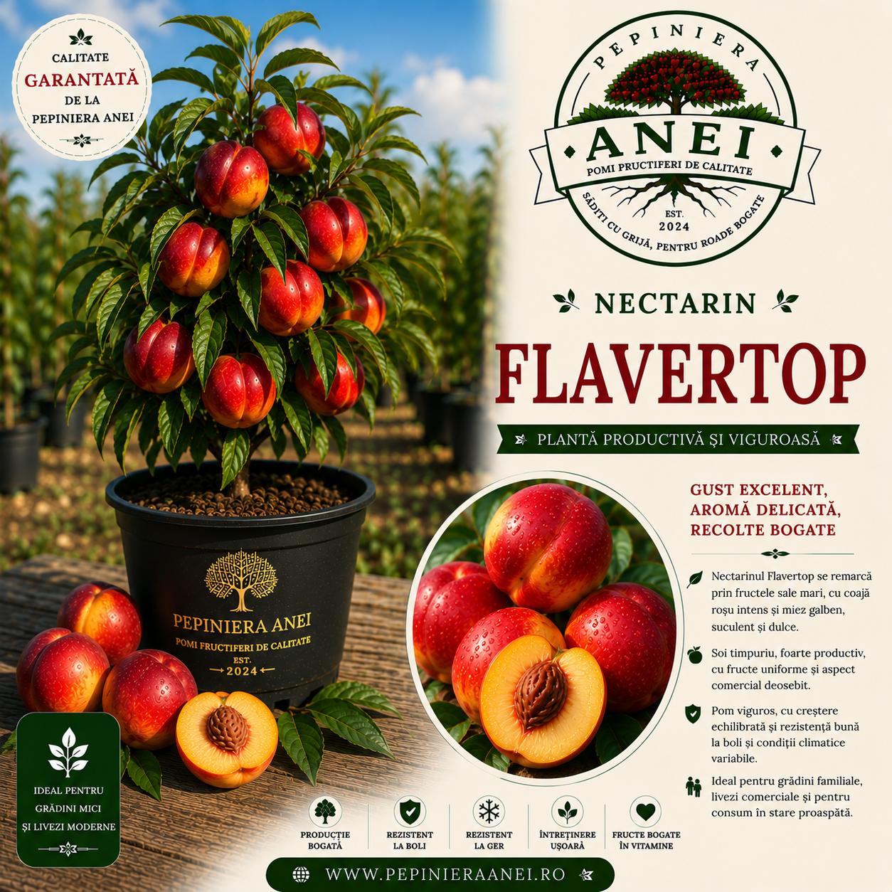 Nectarin Flavortop