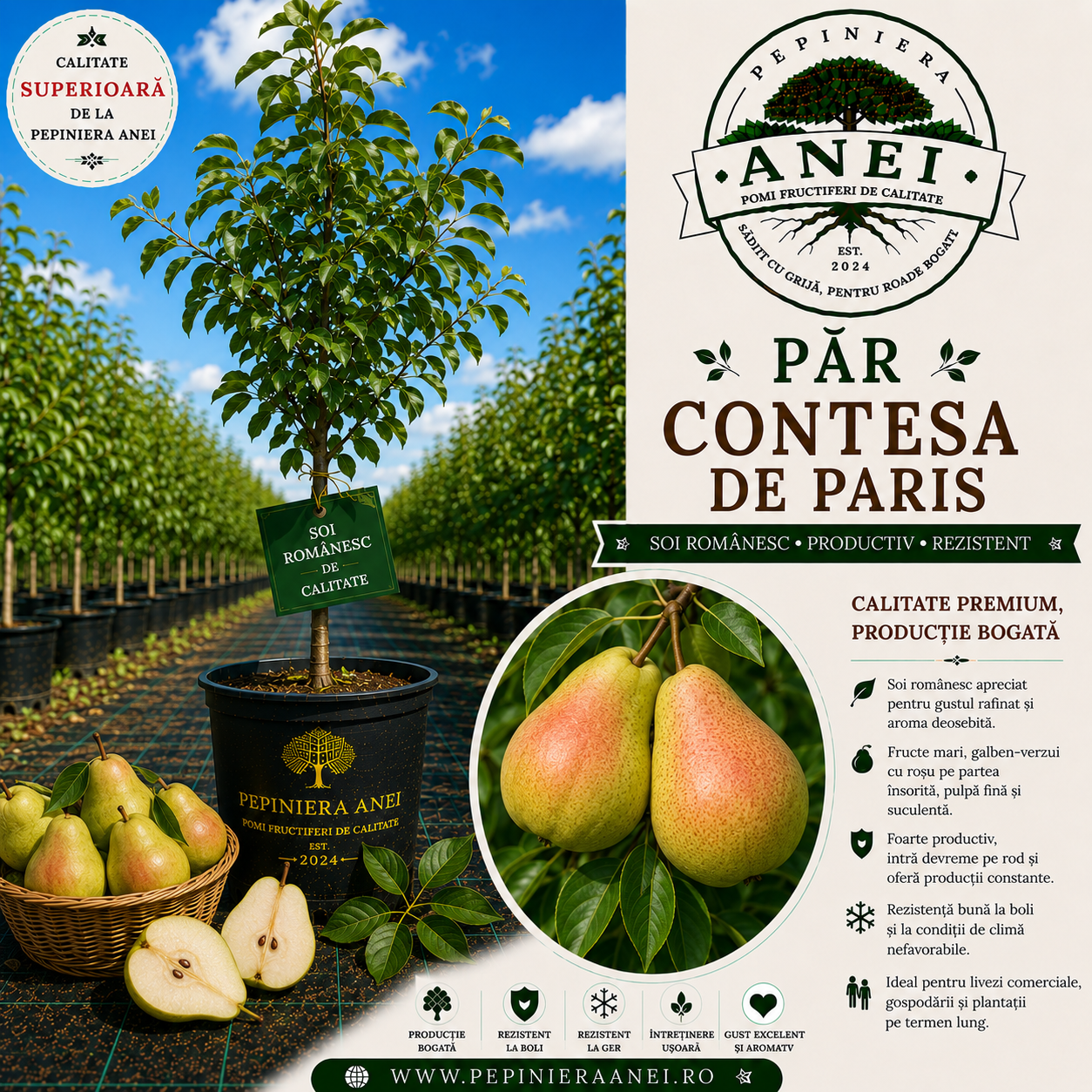 Par Contesa de Paris