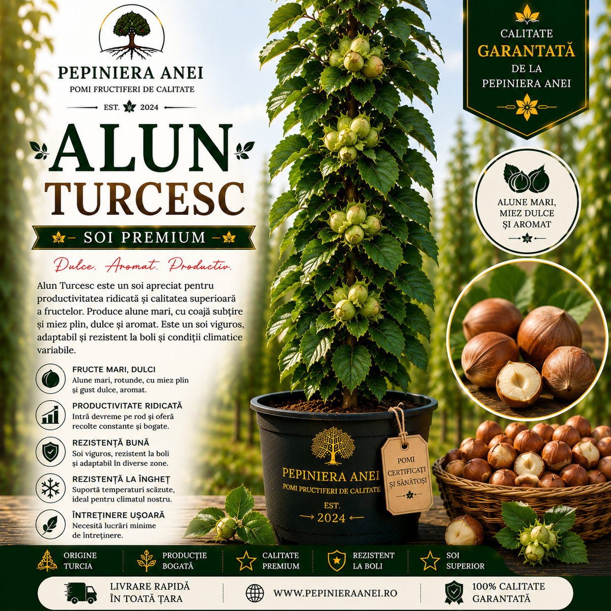 Alun Turcesc