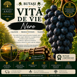 Butași Viță de Vie – Nero