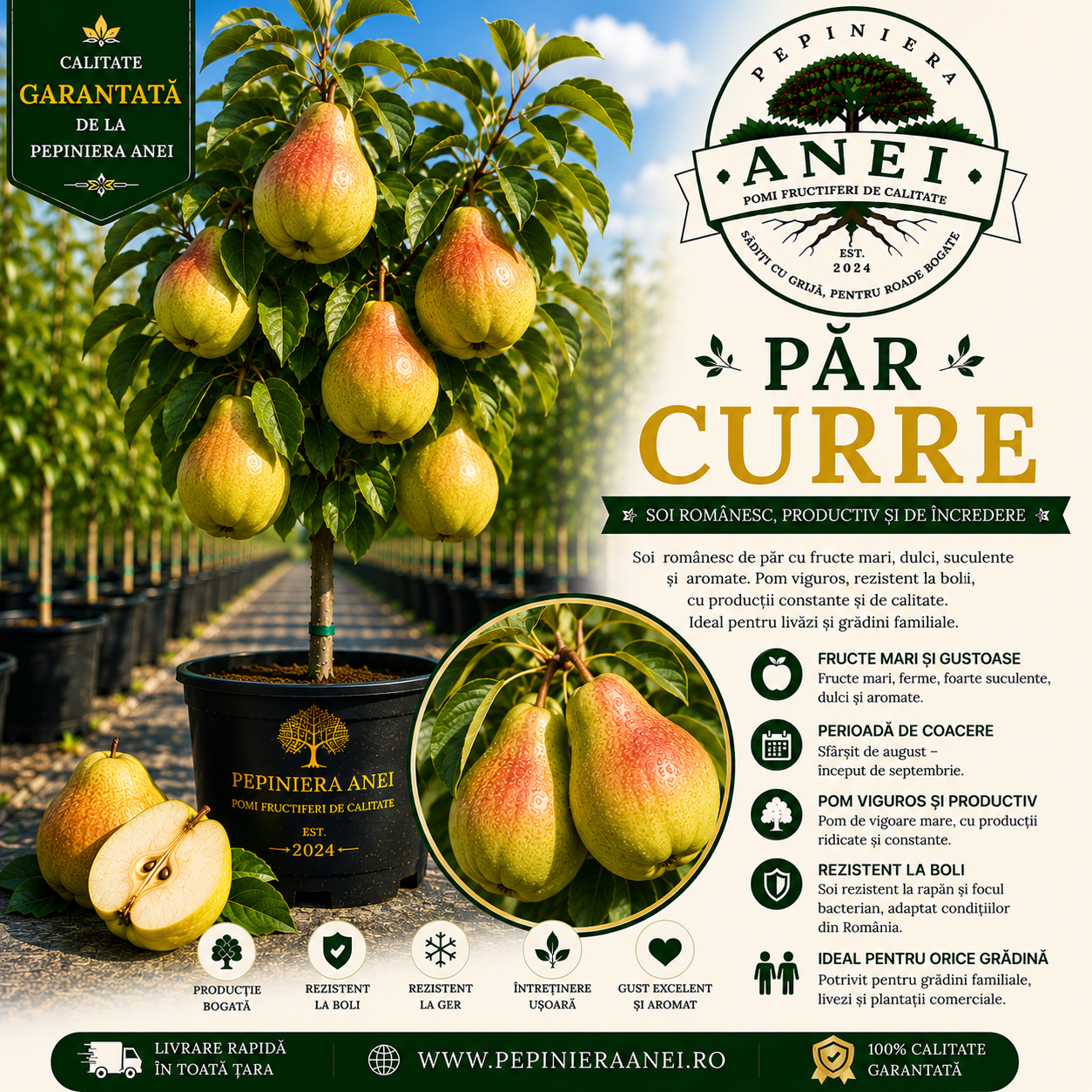 Par Curre