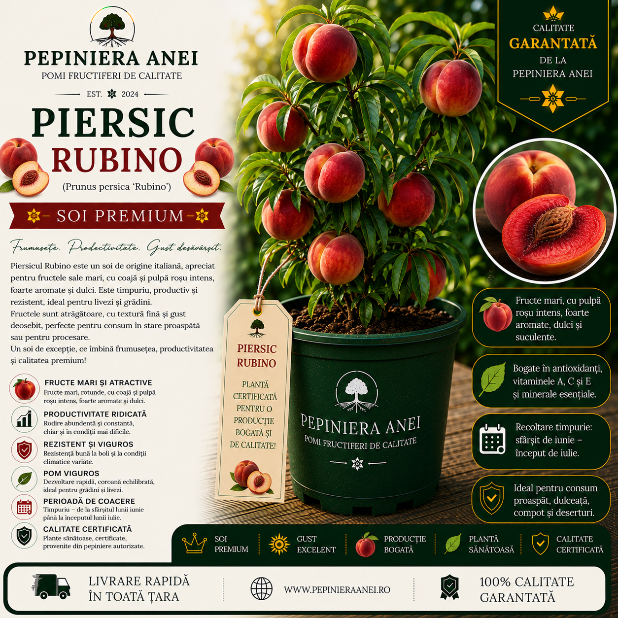 Piersic Rubino (Prunus persica 'Rubino')