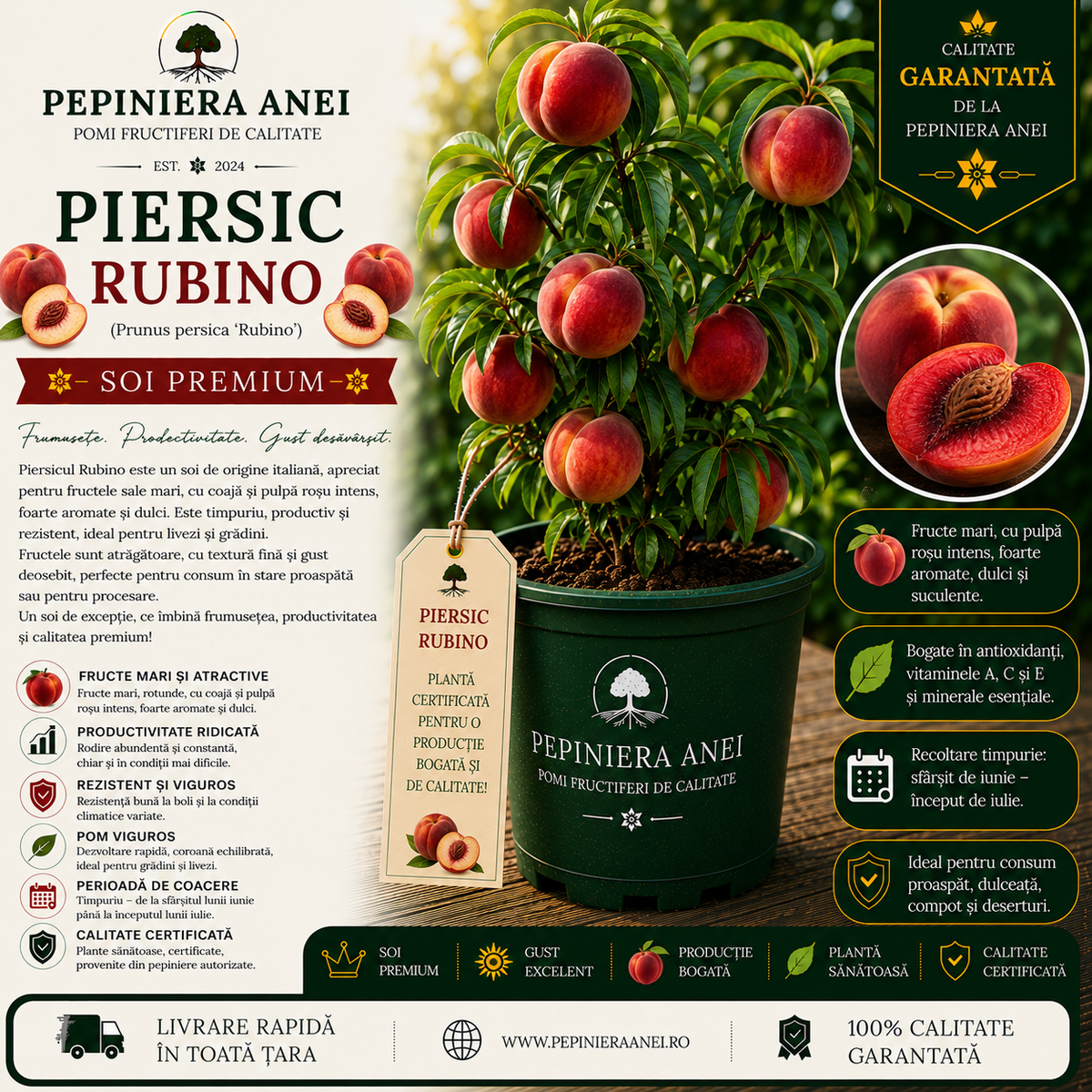 Piersic Rubino (Prunus persica 'Rubino')
