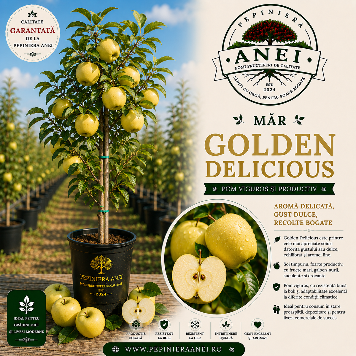 Mar Golden Delicious