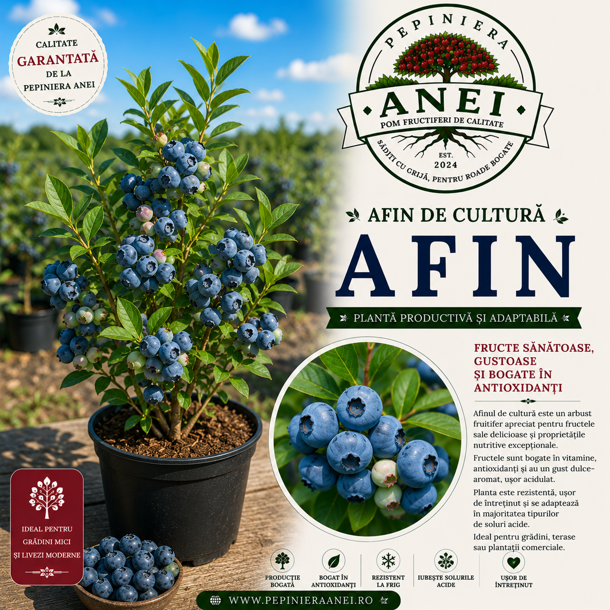 Afin de Cultură
