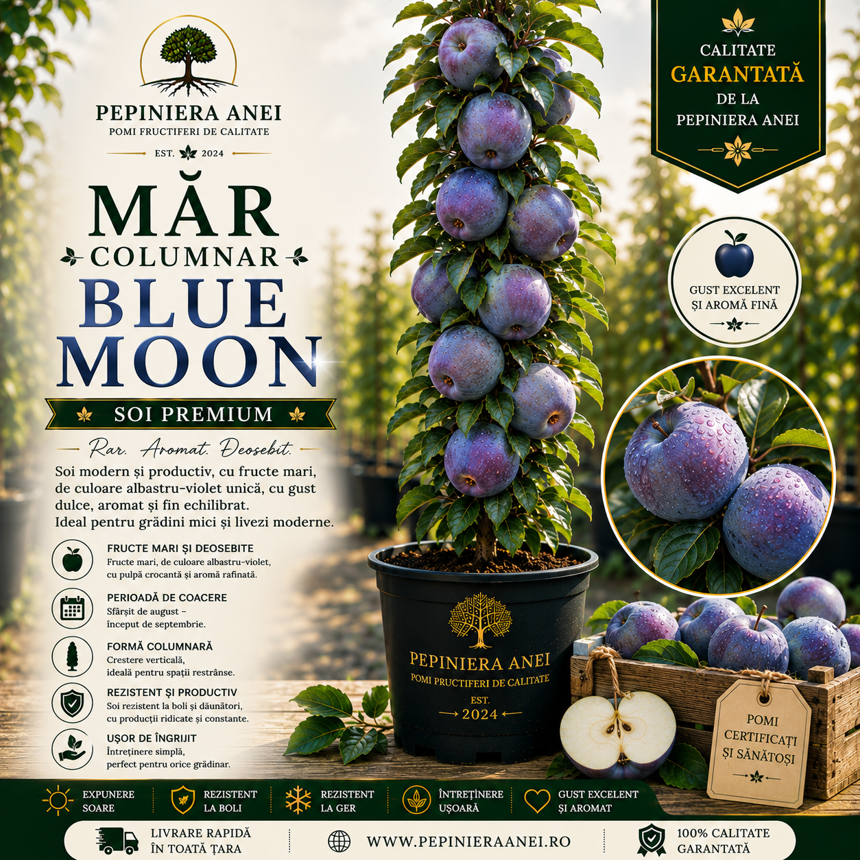 Măr Columnar – Blue Moon