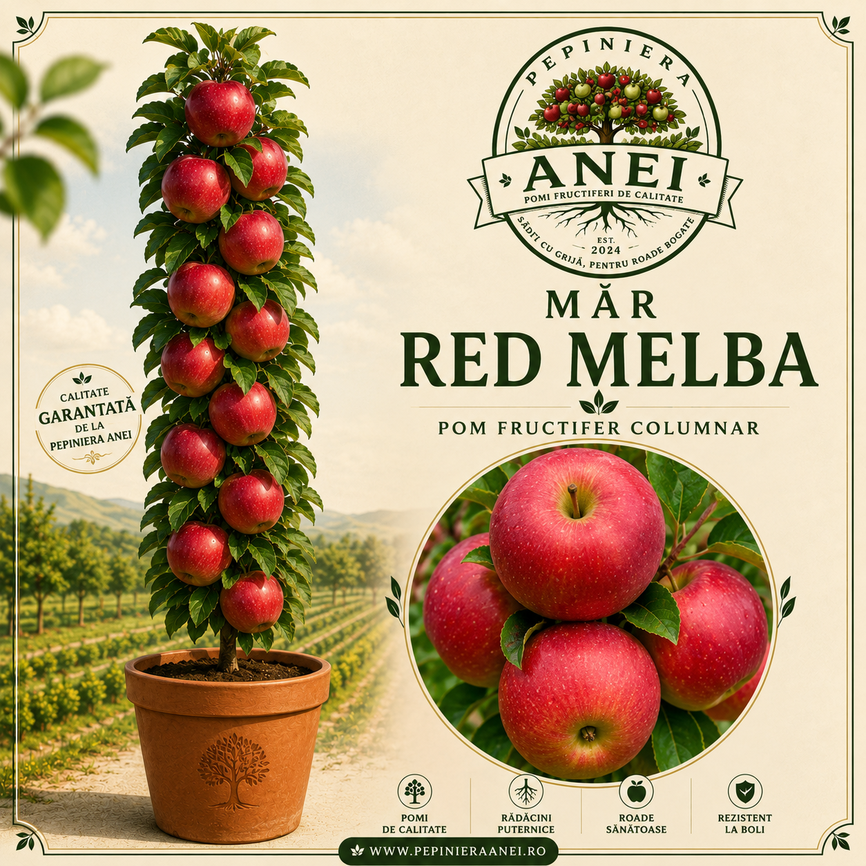 Mar Red Melba
