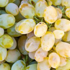 Butași Viță de Vie – Belgrad Seedless