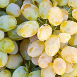 Butași Viță de Vie – Belgrad Seedless