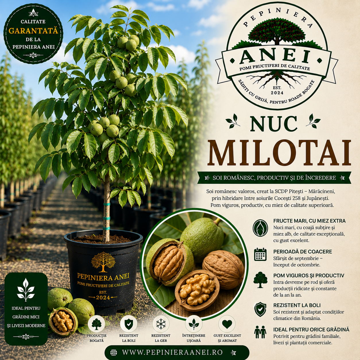 Nuc Milotai