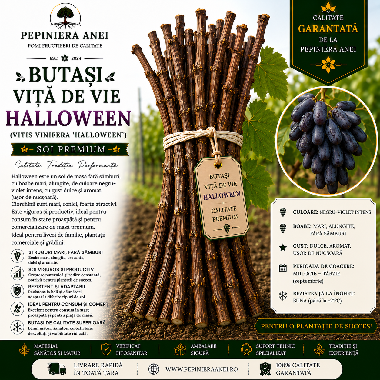 Butași Viță de Vie Halloween (Vitis vinifera 'Halloween')