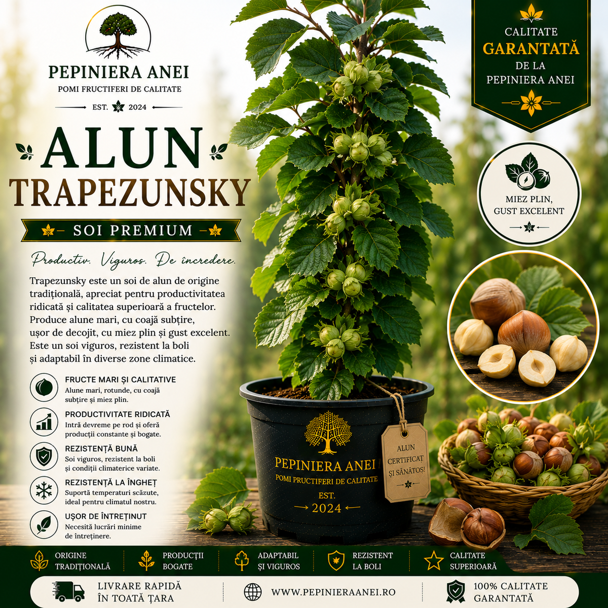 Alun Trapezunsky