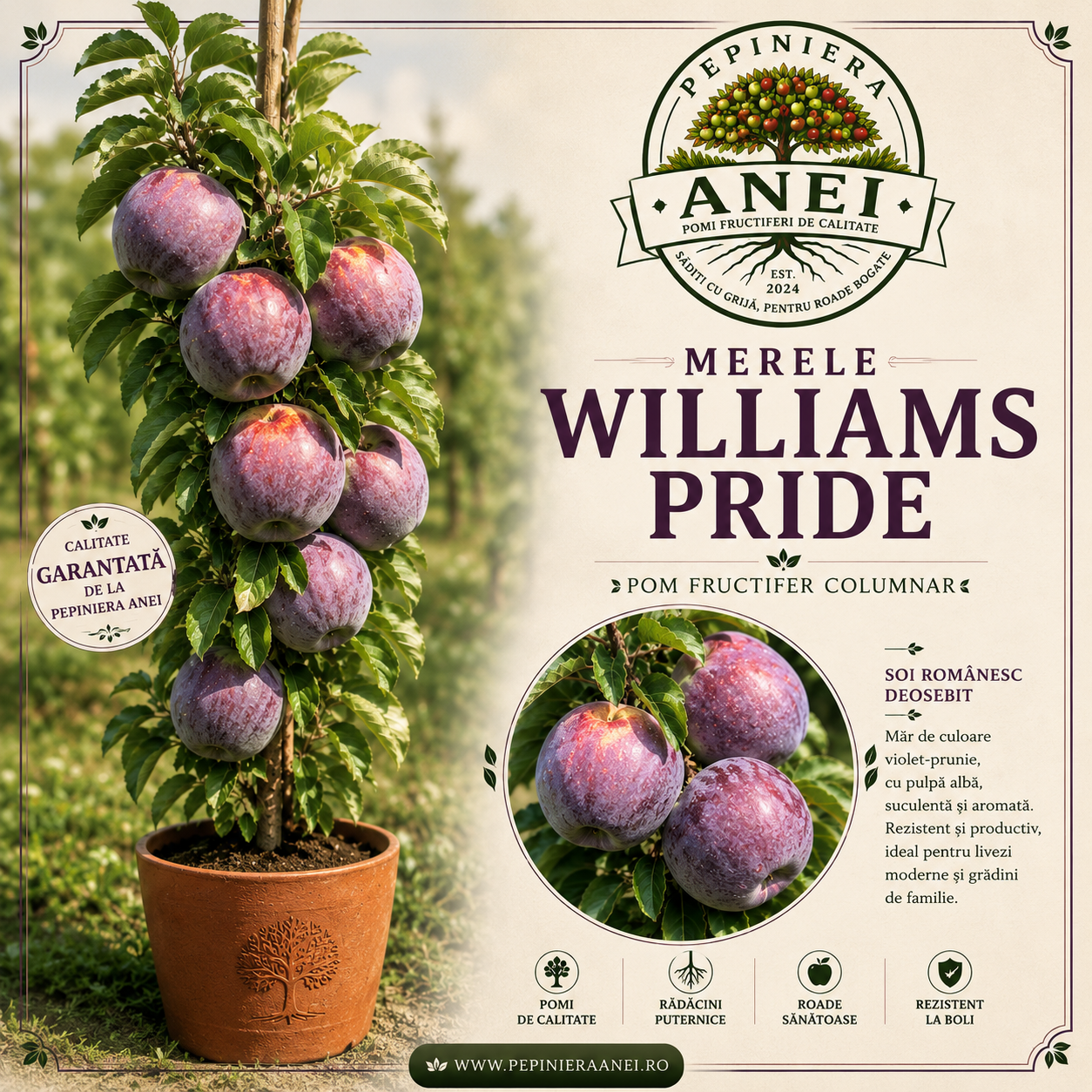 Mar Williams Pride
