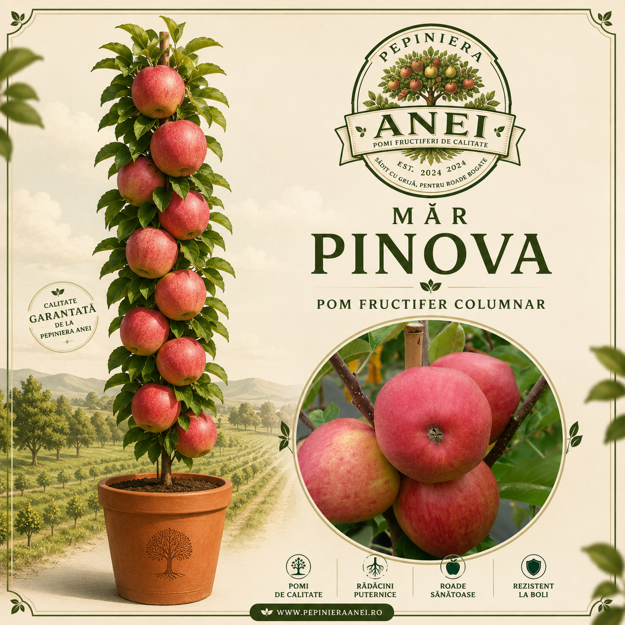 Mar Pinova
