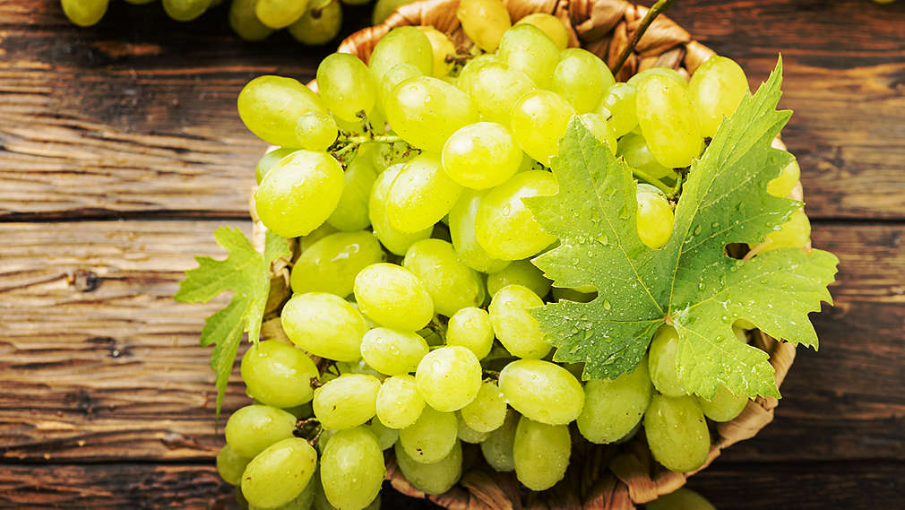 Butași Viță de Vie Cotton Candy (Vitis vinifera 'Cotton Candy')