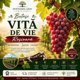 Butași Viță de Vie – Roșioară