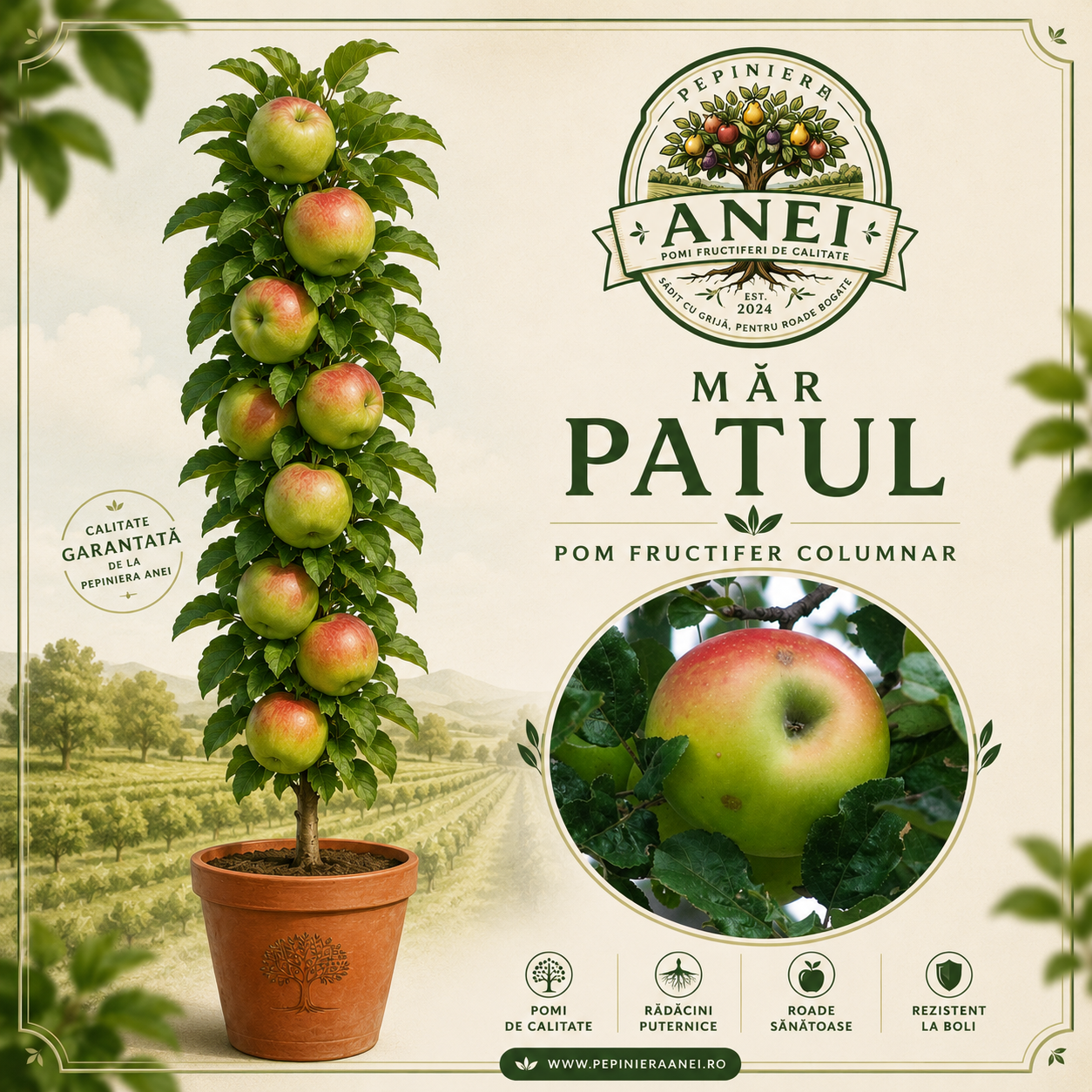 Mar Patul