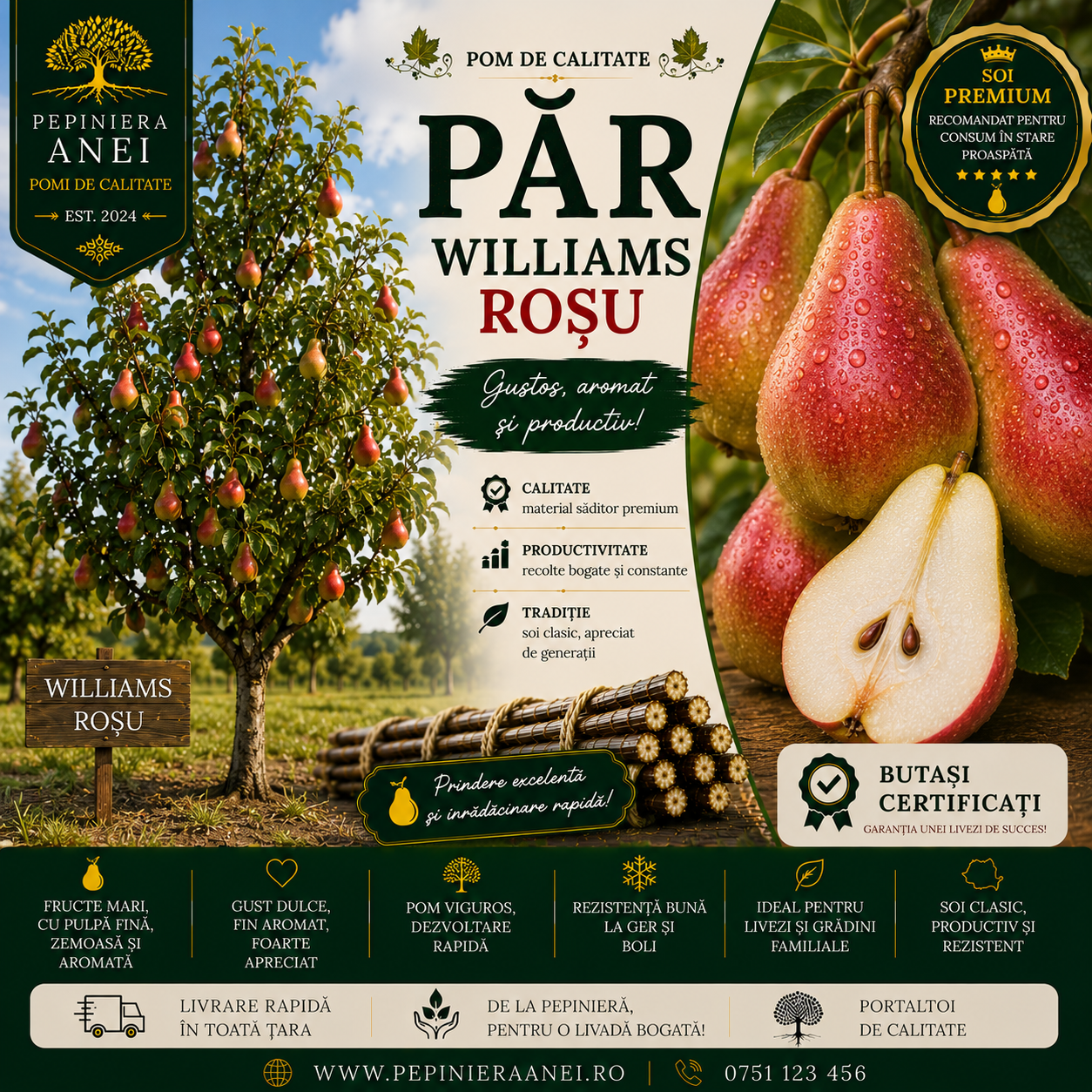 Par Williams Rosu