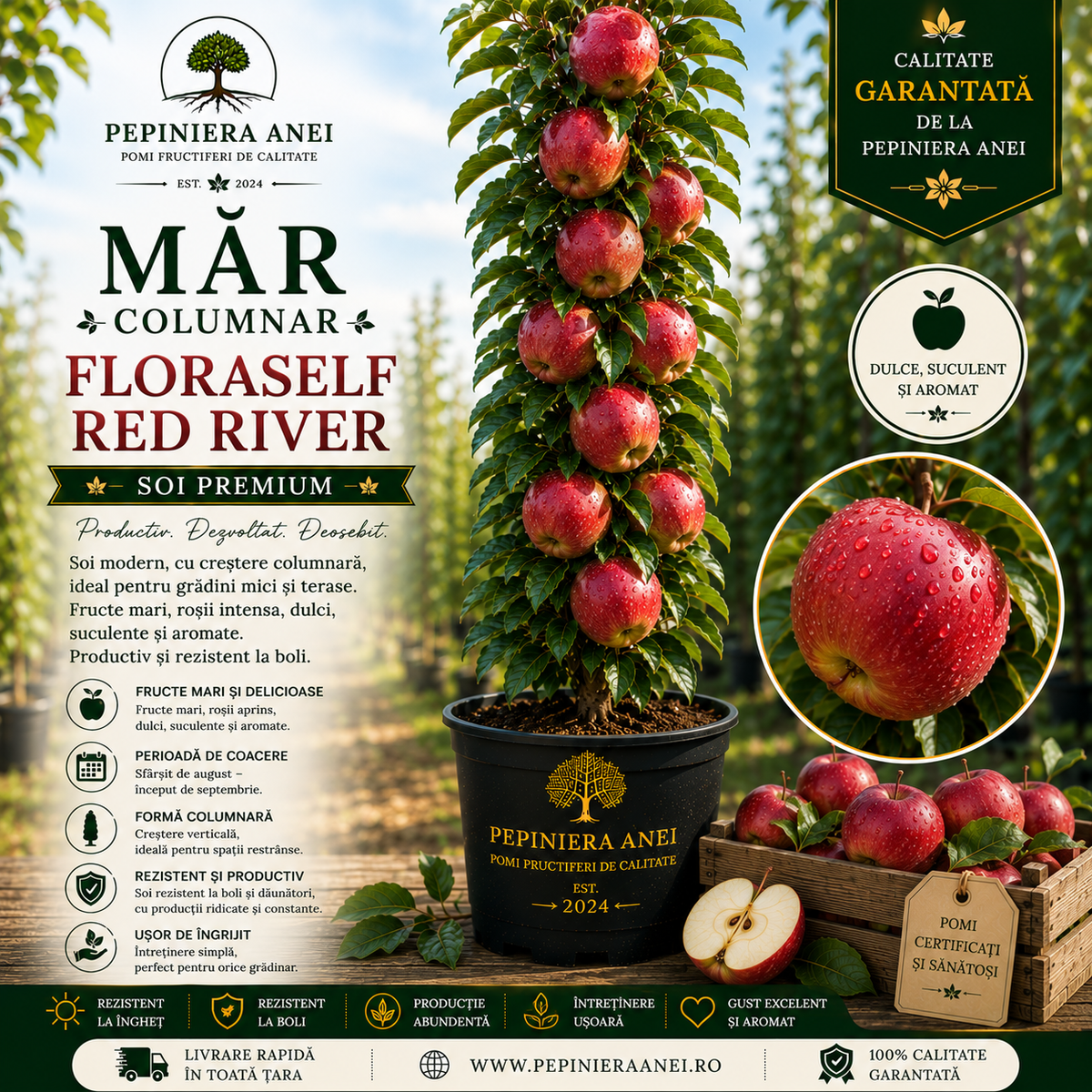 Măr Columnar – FloraSelf Red River