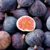 Smochin Black Bursa (Ficus carica 'Black Bursa')